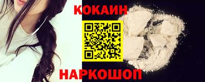 стафф Шелехов