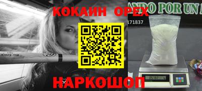 стафф Шелехов
