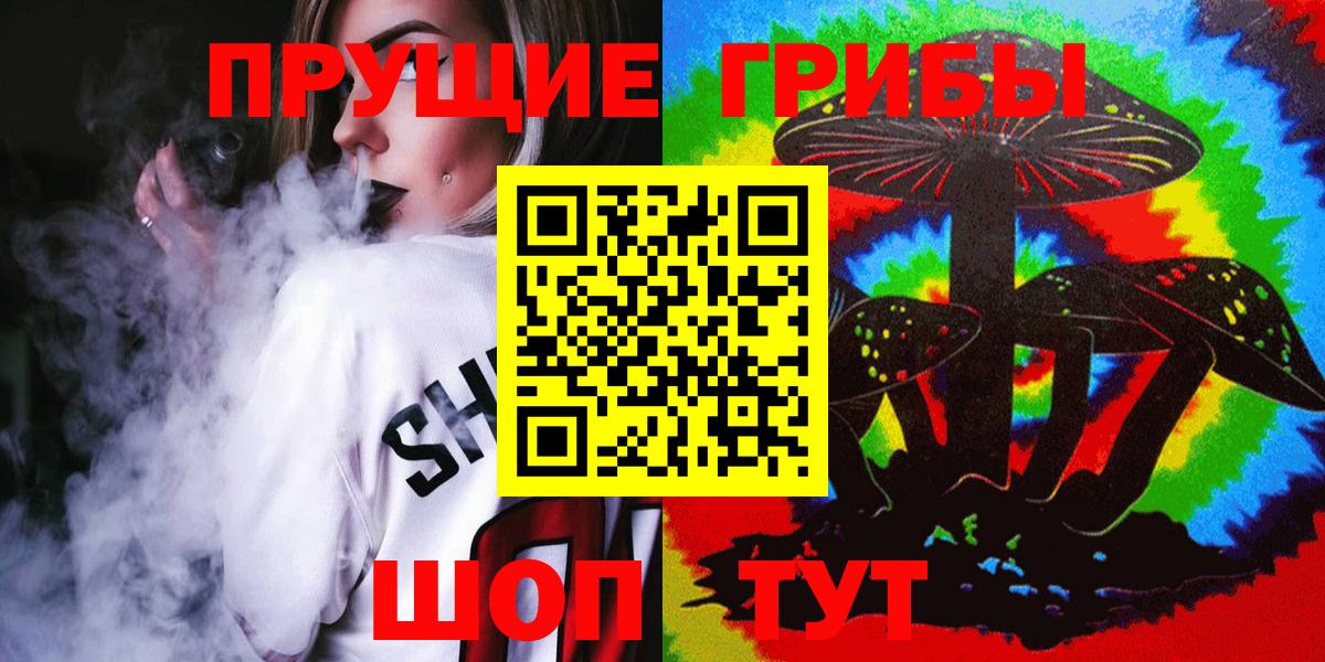 Псилоцибиновые грибы Cubensis Сергиев Посад
